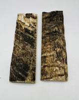 
              Rams Horn Natural Scale Sets  5" x 1 1/2" x 1/4"
            