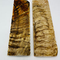 Rams Horn Natural Scale Sets  5" x 1 1/2" x 1/4"